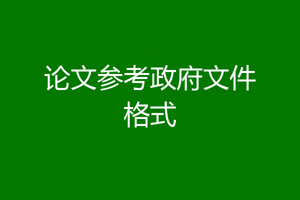 论文参考政府文件格式