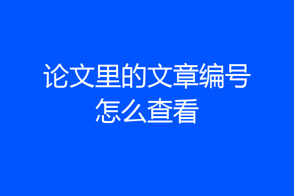 论文里的文章编号怎么查看