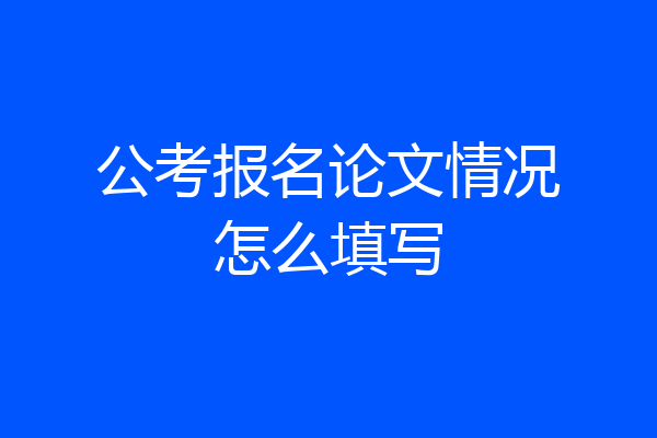 公考报名论文情况怎么填写