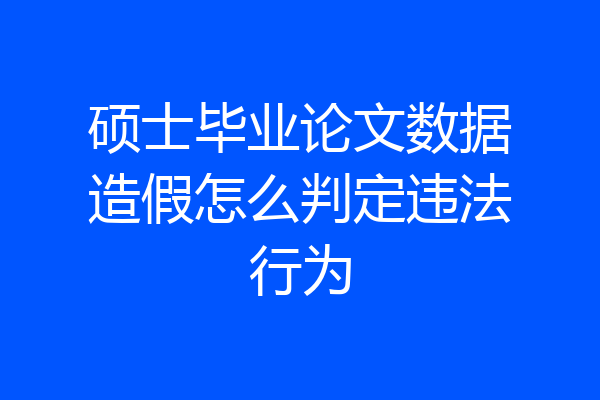 硕士毕业论文数据造假怎么判定违法行为