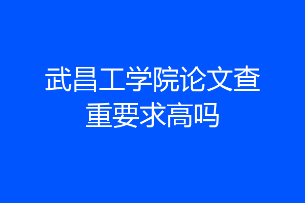 武昌工学院论文查重要求高吗