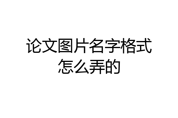 论文图片名字格式怎么弄的