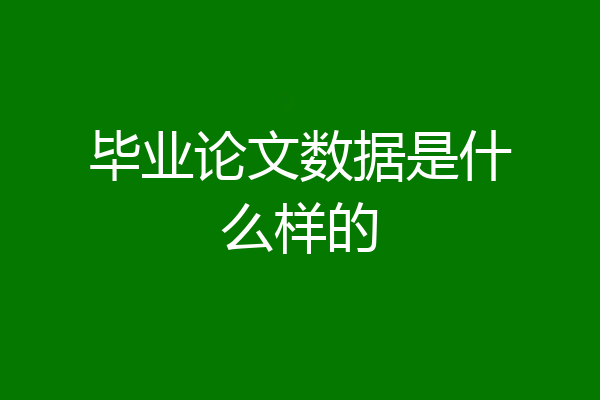 毕业论文数据是什么样的