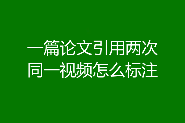 一篇论文引用两次同一视频怎么标注