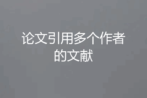 论文引用多个作者的文献