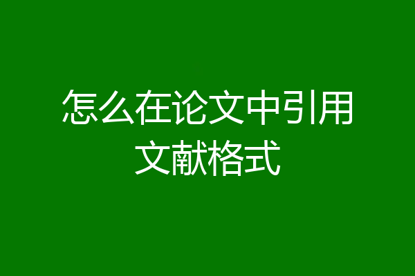 怎么在论文中引用文献格式