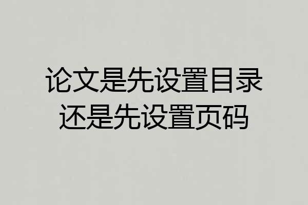 论文是先设置目录还是先设置页码