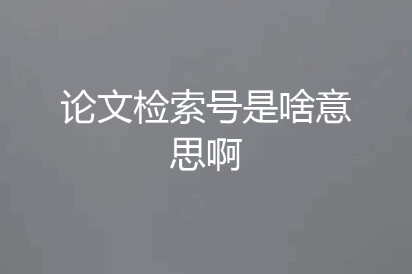 论文检索号是啥意思啊