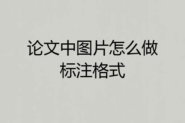 论文中图片怎么做标注格式