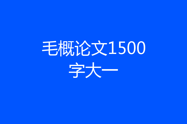毛概论文1500字大一