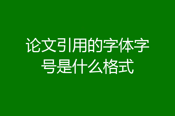 论文引用的字体字号是什么格式