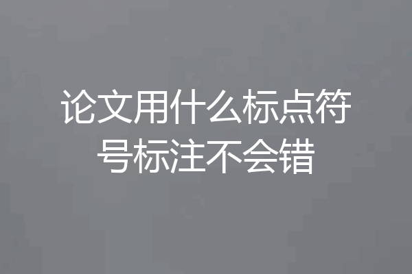 论文用什么标点符号标注不会错
