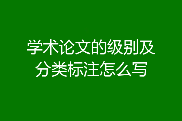 学术论文的级别及分类标注怎么写