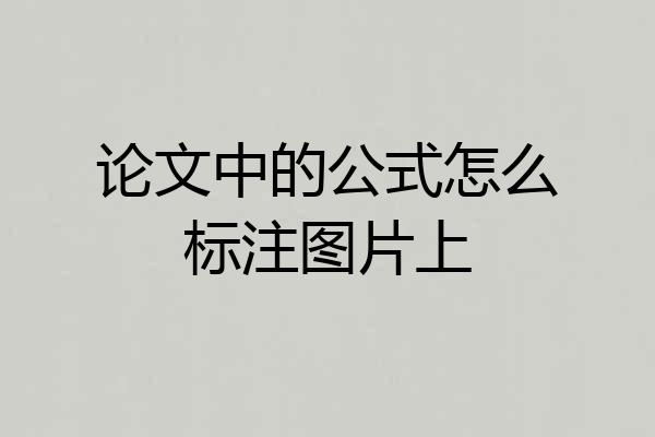 论文中的公式怎么标注图片上