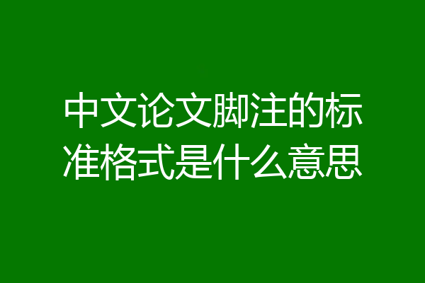 中文论文脚注的标准格式是什么意思