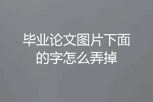 毕业论文图片下面的字怎么弄掉