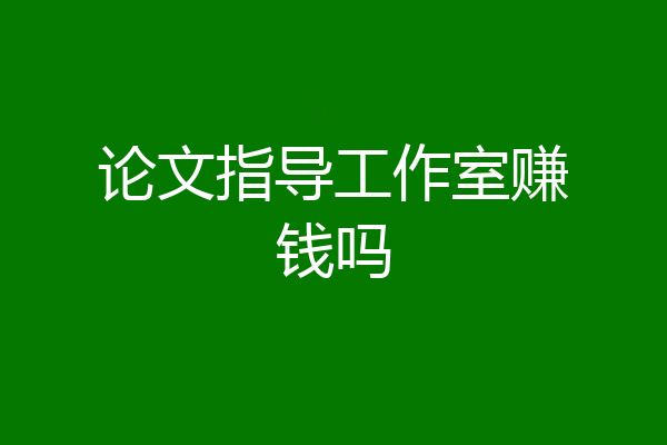 论文指导工作室赚钱吗