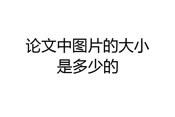 论文中图片的大小是多少的