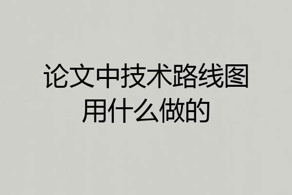 论文中技术路线图用什么做的