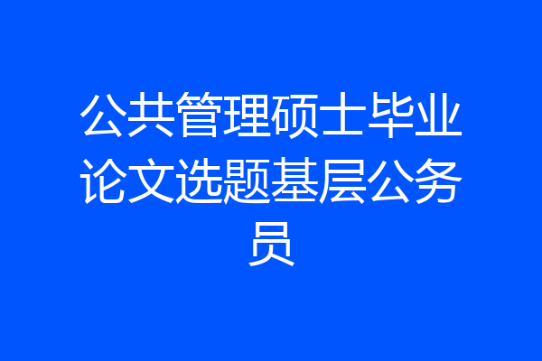 公共管理硕士毕业论文选题基层公务员