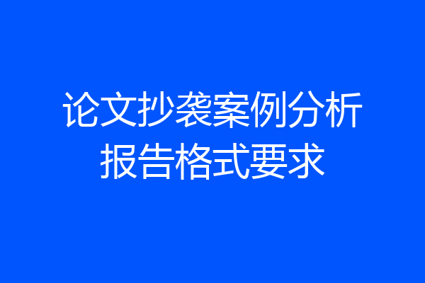 论文抄袭案例分析报告格式要求