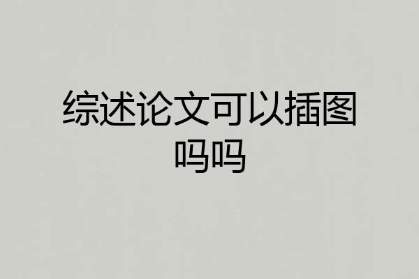 综述论文可以插图吗吗