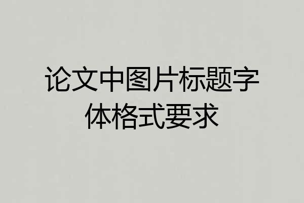 论文中图片标题字体格式要求