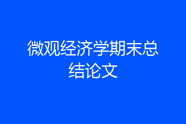 微观经济学期末总结论文