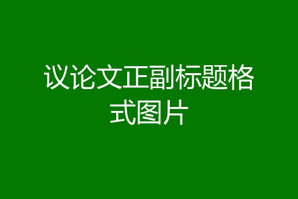 议论文正副标题格式图片