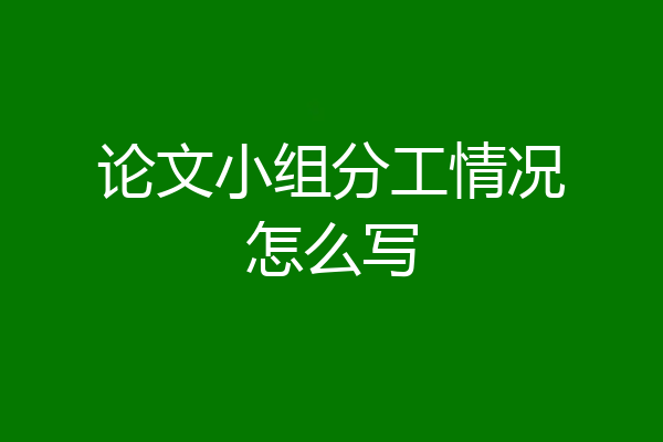 论文小组分工情况怎么写