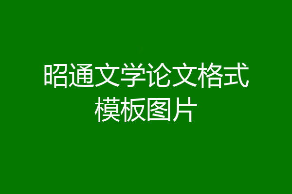 昭通文学论文格式模板图片