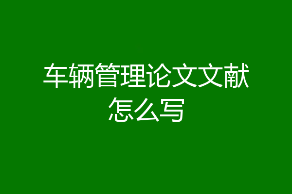 车辆管理论文文献怎么写