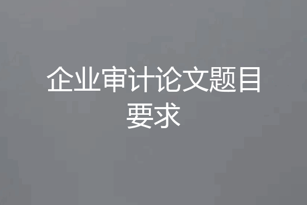 企业审计论文题目要求
