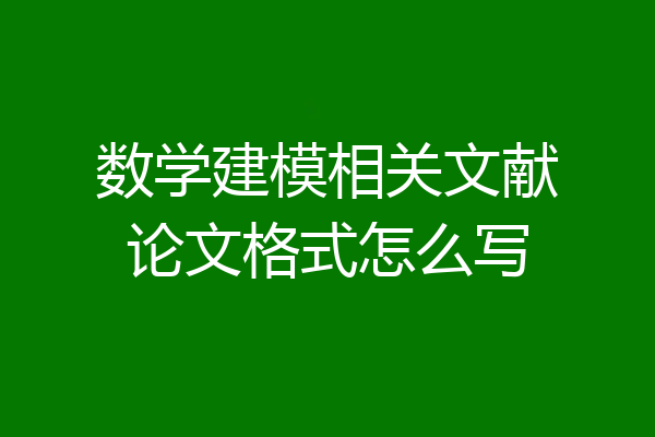 数学建模相关文献论文格式怎么写