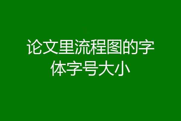 论文里流程图的字体字号大小