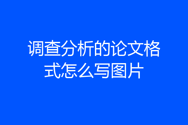 调查分析的论文格式怎么写图片
