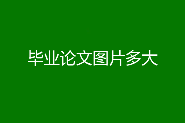 毕业论文图片多大