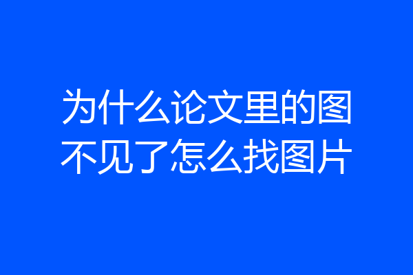 为什么论文里的图不见了怎么找图片
