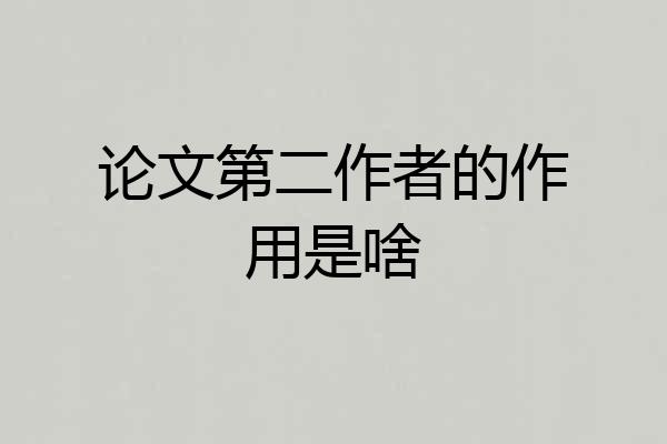 论文第二作者的作用是啥