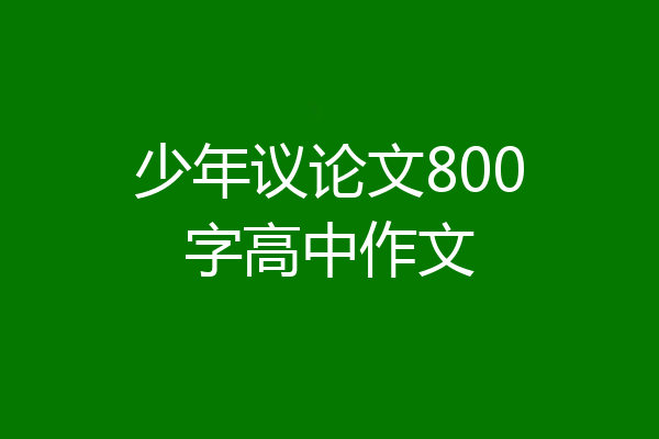 少年议论文800字高中作文
