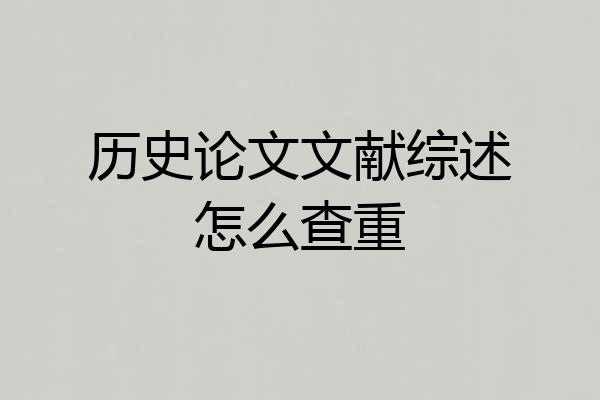 历史论文文献综述怎么查重
