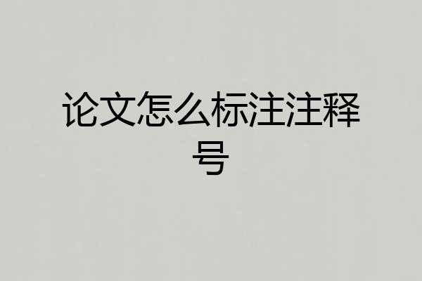 论文怎么标注注释号