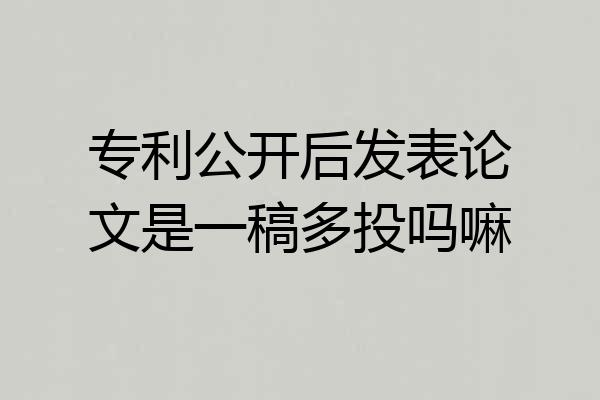 专利公开后发表论文是一稿多投吗嘛