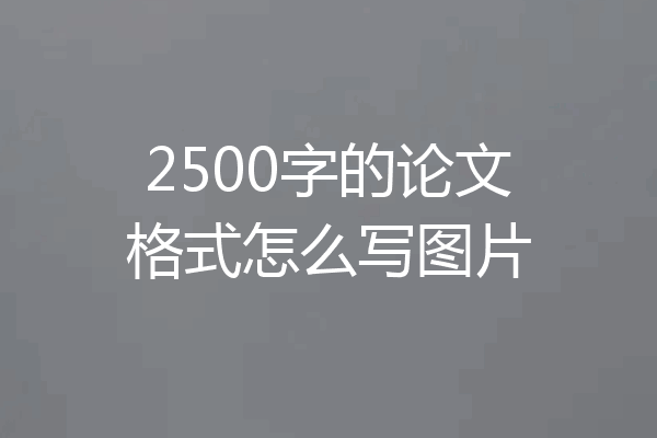 2500字的论文格式怎么写图片