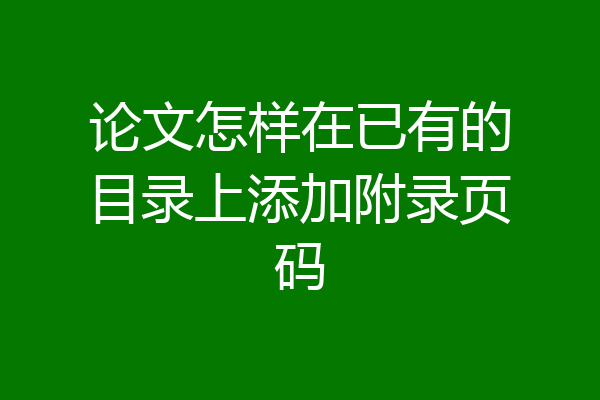 论文怎样在已有的目录上添加附录页码