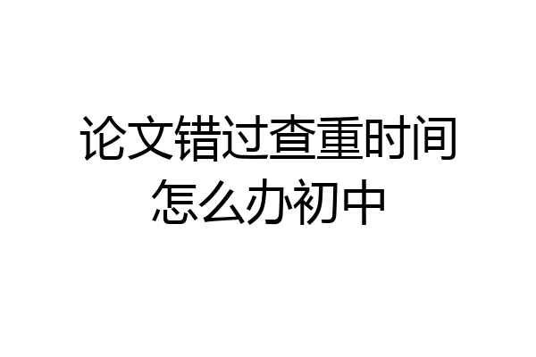 论文错过查重时间怎么办初中