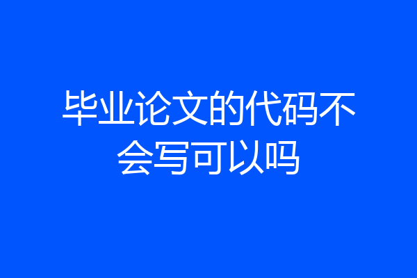 毕业论文的代码不会写可以吗