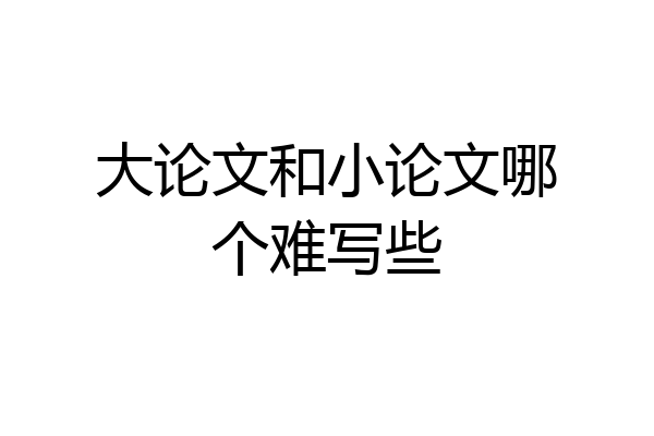 大论文和小论文哪个难写些