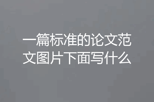 一篇标准的论文范文图片下面写什么