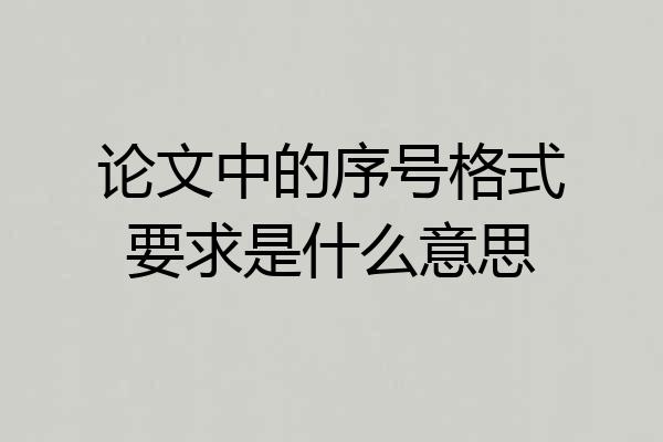论文中的序号格式要求是什么意思
